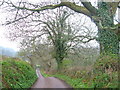 Lane near Thistlemuir