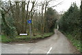 The Pilgrims Way to the shrine of St. Thomas of Canterbury