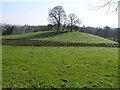 Corick Townland, Clogher