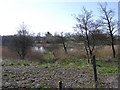 Lisamaghery Lough. Clogher