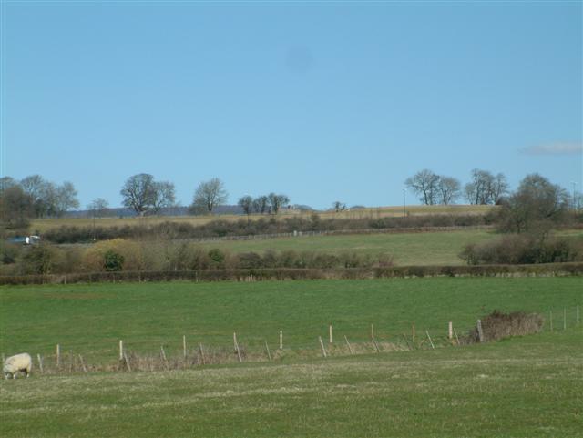 Looking North from the B4245