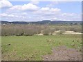 Ballygreenan Townland