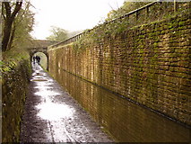 SJ9590 : Peak Forest Canal, between Marple and Romiley by Stephen Thompson