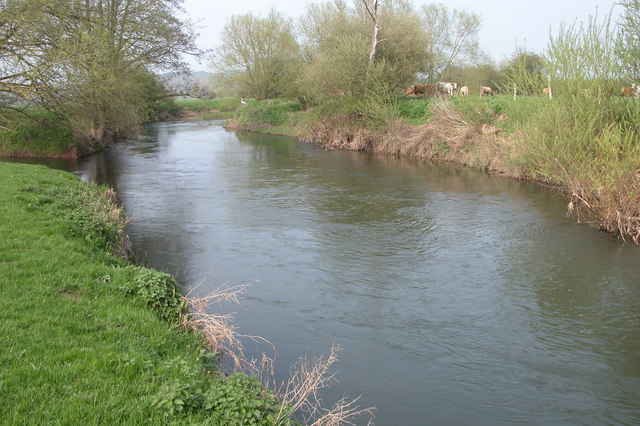 The River Lugg at Hampton Bishop