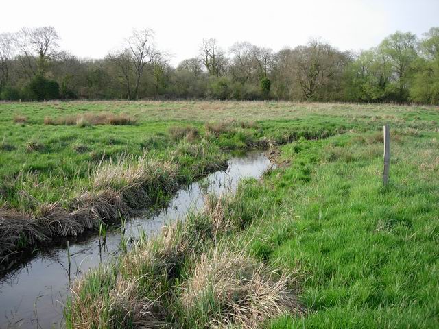 Ditch in Itchen Valley Country Park