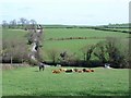 Lazy Sunday near Llannefydd