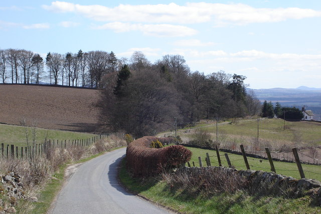 Road from Rattray to Drimmie