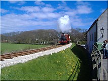 SC2667 : Steam Railway, Castletown by kevin rothwell