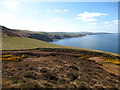 Viewpoint of Coastline from Fast Castle to Torness Power Station