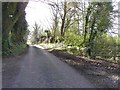 Road at Killycorran