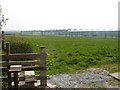 Acres of greenhouses, Much Hoole Town