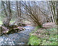 Unnamed stream near Nannerch