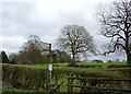 Signpost near Prestbury