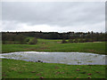 Localized Flooding, Whirley Grove