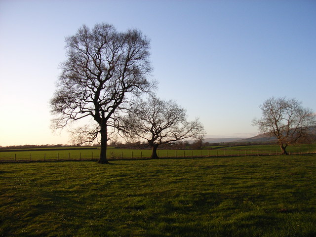 Farmland near Skirwith