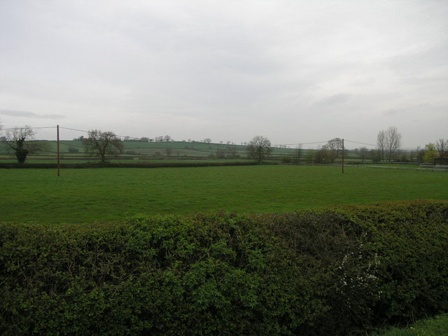 Hedge and Pasture