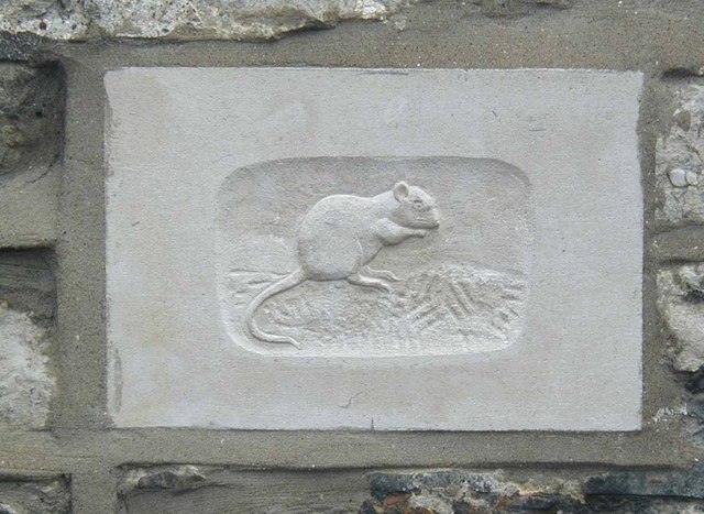 Stone mouse