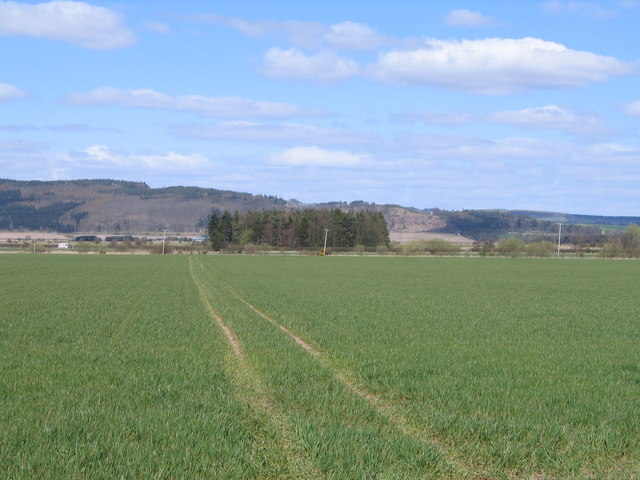 Looking Across Baiglie Farm