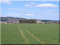 Looking Across Baiglie Farm