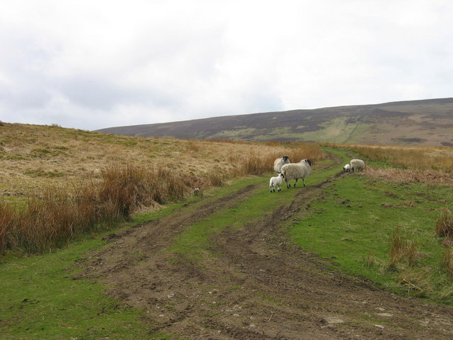 Bridleway leading to Middle Top and Lord's Seat