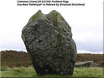 SE6299 : Cammon Stone by Hugh Mortimer