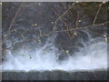 Waterfall within Kearsney Abbey