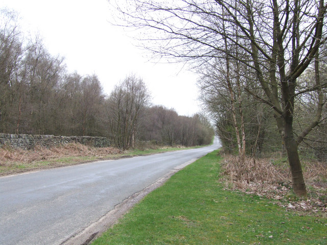 Road on Farley Moor.