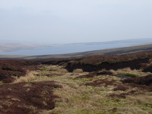 Moorland above Cow Green Reservoir