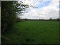 Footpath to the A50