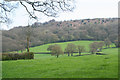 West Buckland: towards Gortnell Common