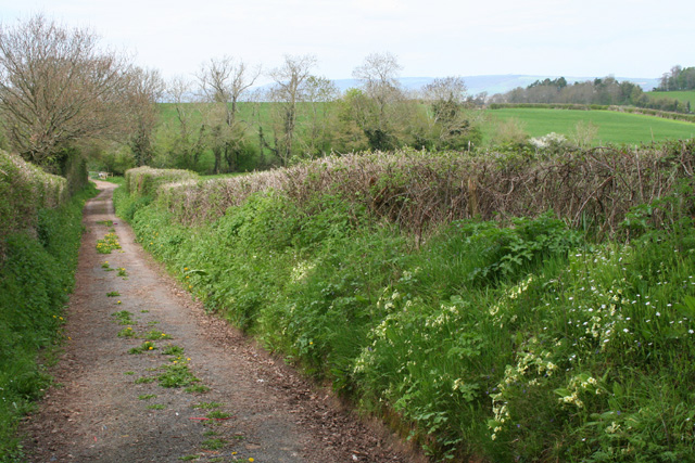 Trull: track to Castlemans Hill