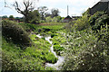 Bradford-on-Tone: Grand Western Canal at Trefusis