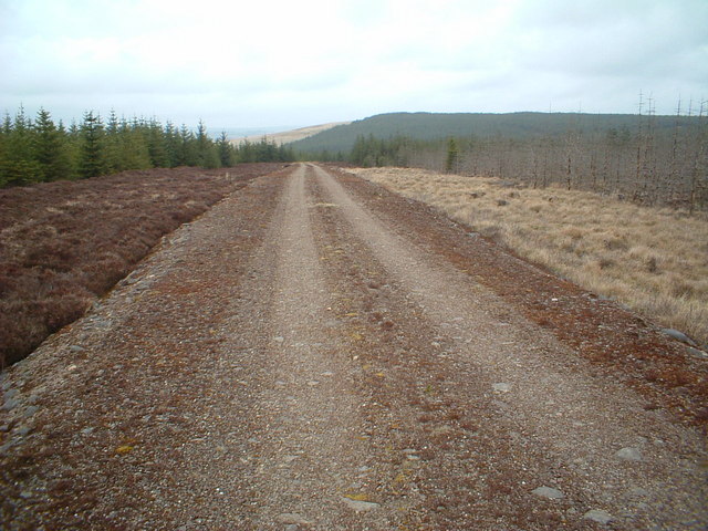 Forest road on Anderside Hill