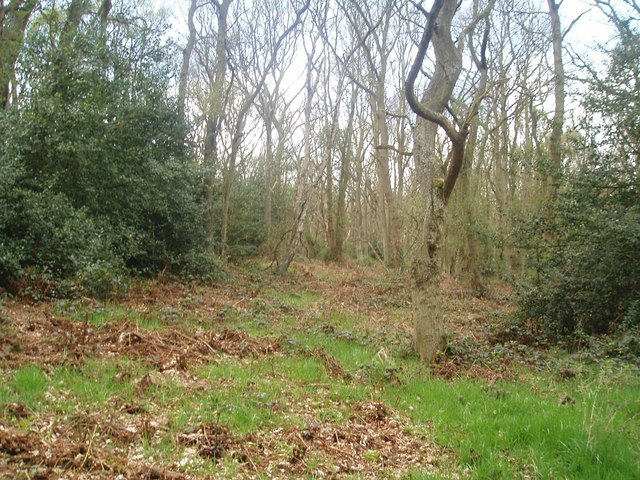 Priestclose Woods