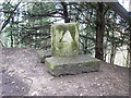 SO8309 : Stone monument close to the Cotswold Way path by Vincent Jones