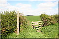 Footpath from Ranby