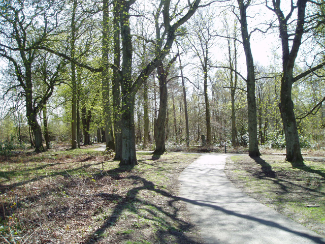 Plean Country Park © Kevin Rae :: Geograph Britain and Ireland