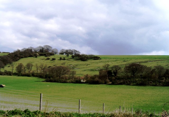 Western slope of Treyford Hill