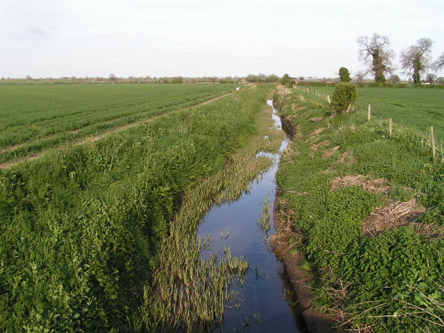 Ditch, Burton Meadows © Dave Dunford cc-by-sa/2.0 :: Geograph Britain ...