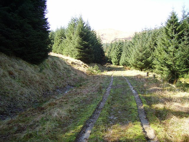 Forest, Coire No