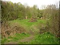 Bonfire site, Netheroyd Hill, Fartown