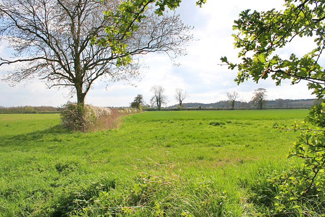 Farmland near Egleton, Rutland