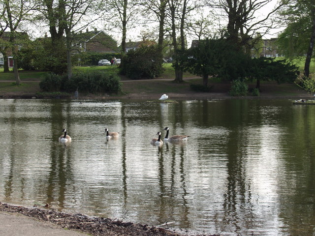 the-lake-acton-park-wrecsam-john-haynes-cc-by-sa-2-0-geograph