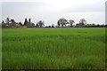 Field of crops looking to A38