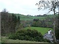 Up the valley from Bryn Aled