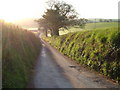 Lane to Middle Washbourne