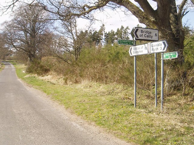 The junction at Gauldswell Wood