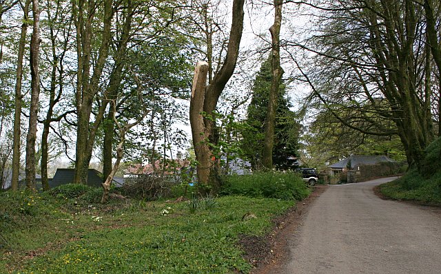 Woodland and Houses at Roskrow Farm