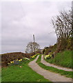 Road to Pen-y-Ffrith