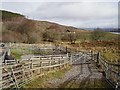 Sheep pens